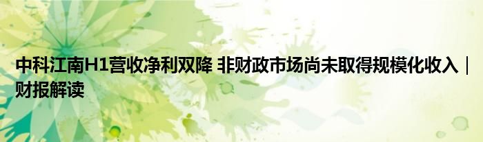 中科江南H1营收净利双降 非财政市场尚未取得规模化收入｜财报解读