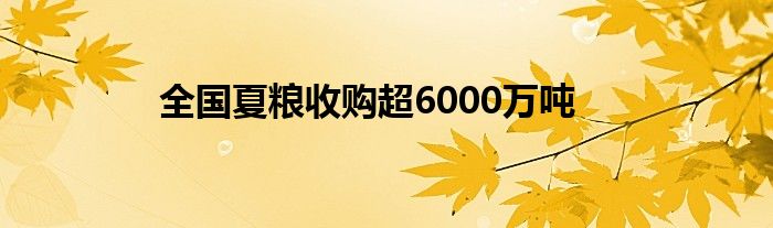 全国夏粮收购超6000万吨