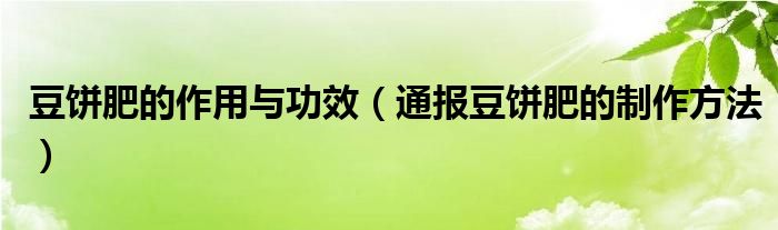 豆饼肥的作用与功效（通报豆饼肥的制作方法）