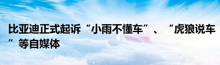 比亚迪正式起诉“小雨不懂车”、“虎狼说车”等自媒体