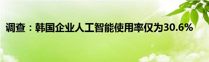 调查：韩国企业人工智能使用率仅为30.6%