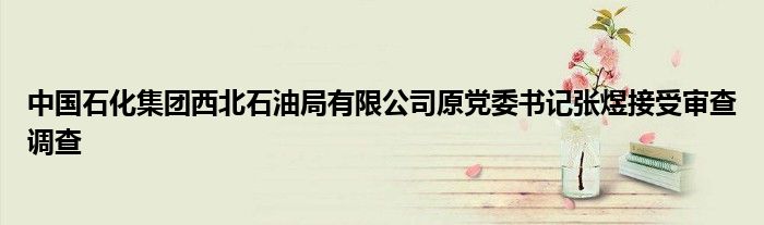 中国石化集团西北石油局有限公司原党委书记张煜接受审查调查