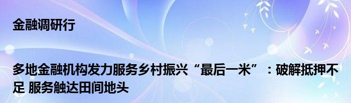 
调研行|多地
机构发力服务乡村振兴“最后一米”：破解抵押不足 服务触达田间地头