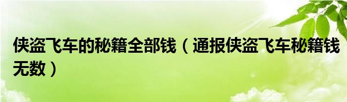 侠盗飞车的秘籍全部钱（通报侠盗飞车秘籍钱无数）