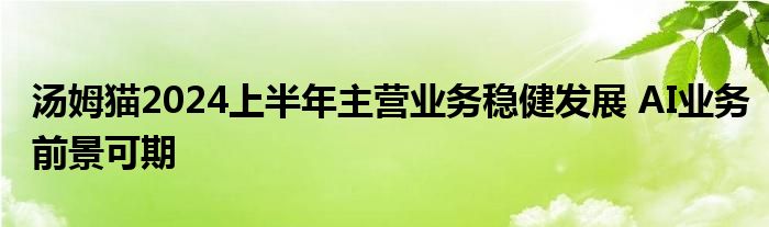 汤姆猫2024上半年主营业务稳健发展 AI业务前景可期