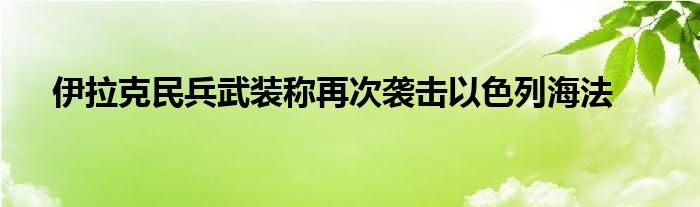 伊拉克民兵武装称再次袭击以色列海法