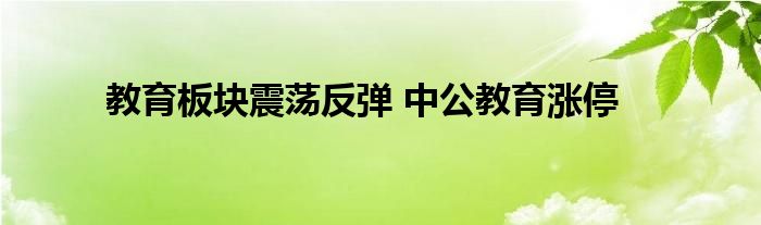 教育板块震荡反弹 中公教育涨停