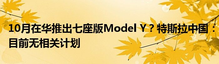 10月在华推出七座版Model Y？特斯拉中国：目前无相关计划