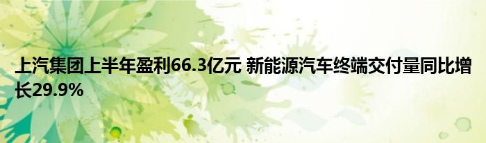 上汽集团上半年盈利66.3亿元 新能源汽车终端交付量同比增长29.9%