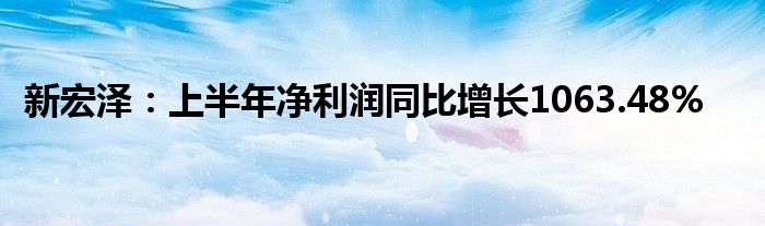 新宏泽：上半年净利润同比增长1063.48%