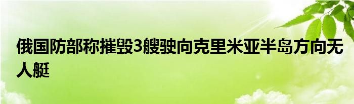 俄国防部称摧毁3艘驶向克里米亚半岛方向无人艇