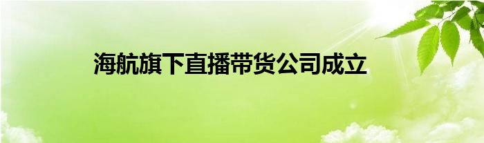 海航旗下直播带货公司成立