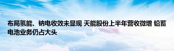 布局氢能、钠电收效未显现 天能股份上半年营收微增 铅蓄电池业务仍占大头