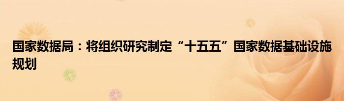 国家数据局：将组织研究制定“十五五”国家数据基础设施规划