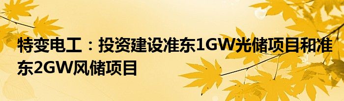 特变电工：投资建设准东1GW光储项目和准东2GW风储项目