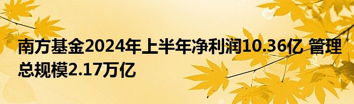 南方基金2024年上半年净利润10.36亿 管理总规模2.17万亿