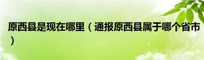 原西县是现在哪里（通报原西县属于哪个省市）