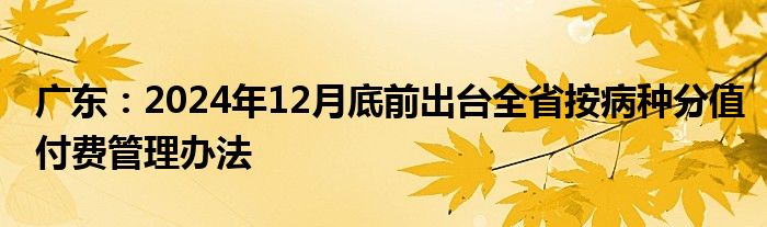 广东：2024年12月底前出台全省按病种分值付费管理办法