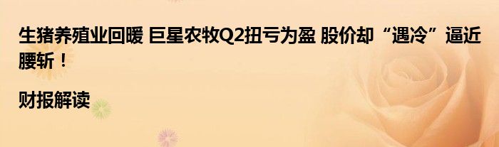 生猪养殖业回暖 巨星农牧Q2扭亏为盈 股价却“遇冷”逼近腰斩！|财报解读