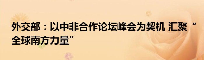 外交部：以中非合作论坛峰会为契机 汇聚“全球南方力量”