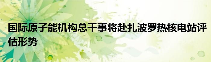 国际原子能机构总干事将赴扎波罗热核电站评估形势