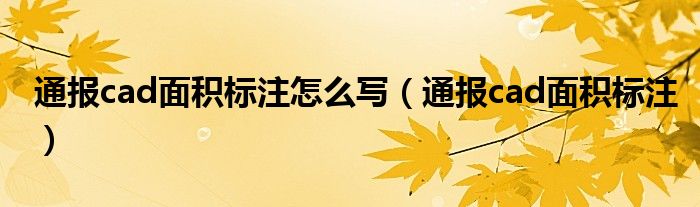 通报cad面积标注怎么写（通报cad面积标注）