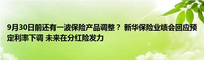 9月30日前还有一波保险产品调整？ 新华保险业绩会回应预定利率下调 未来在分红险发力