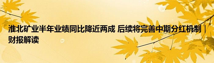 淮北矿业半年业绩同比降近两成 后续将完善中期分红机制｜财报解读