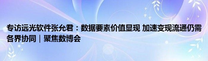 专访远光软件张允君：数据要素价值显现 加速变现流通仍需各界协同｜聚焦数博会