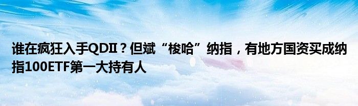 谁在疯狂入手QDII？但斌“梭哈”纳指，有地方国资买成纳指100ETF第一大持有人