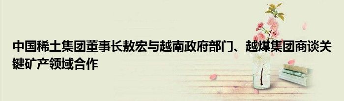 中国稀土集团董事长敖宏与越南政府部门、越煤集团商谈关键矿产领域合作