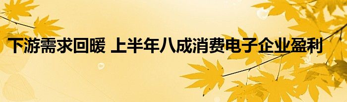 下游需求回暖 上半年八成消费电子企业盈利