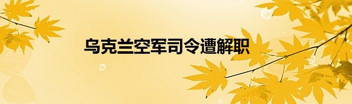 乌克兰空军司令遭解职