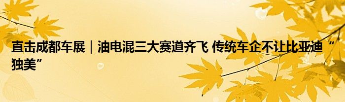 直击成都车展｜油电混三大赛道齐飞 传统车企不让比亚迪“独美”