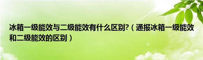 冰箱一级能效与二级能效有什么区别?（通报冰箱一级能效和二级能效的区别）