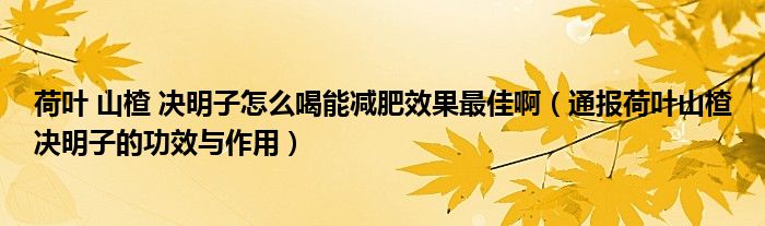 荷叶 山楂 决明子怎么喝能减肥效果最佳啊（通报荷叶山楂决明子的功效与作用）