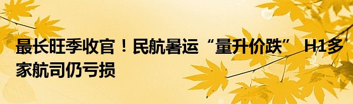 最长旺季收官！民航暑运“量升价跌” H1多家航司仍亏损