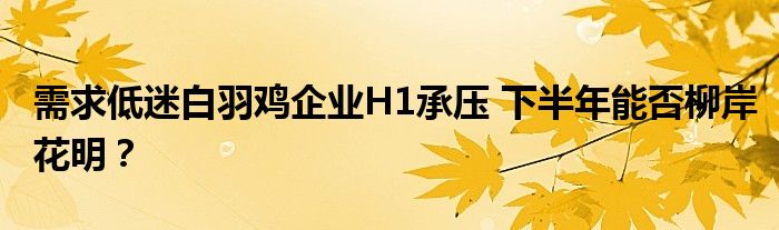 需求低迷白羽鸡企业H1承压 下半年能否柳岸花明？