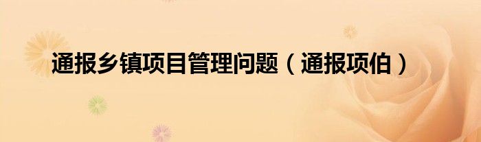 通报乡镇项目管理问题（通报项伯）