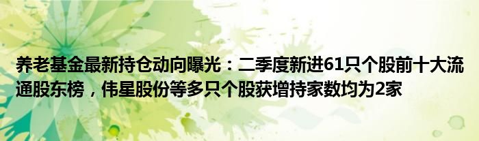 养老基金最新持仓动向曝光：二季度新进61只个股前十大流通股东榜，伟星股份等多只个股获增持家数均为2家