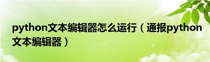 python文本编辑器怎么运行（通报python文本编辑器）