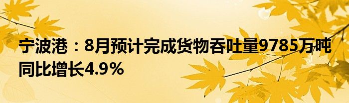 宁波港：8月预计完成货物吞吐量9785万吨 同比增长4.9%