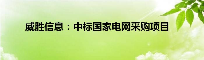 威胜信息：中标国家电网采购项目