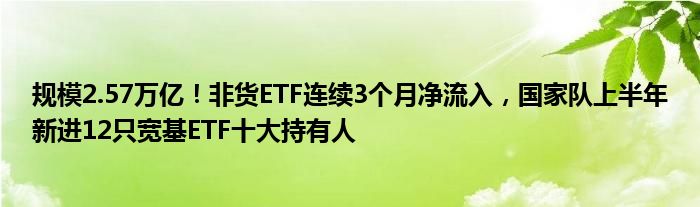 规模2.57万亿！非货ETF连续3个月净流入，国家队上半年新进12只宽基ETF十大持有人