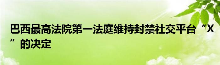 巴西最高法院第一法庭维持封禁社交平台“X”的决定