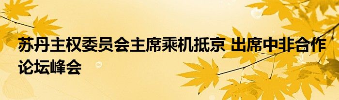 苏丹主权委员会主席乘机抵京 出席中非合作论坛峰会