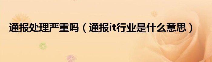 通报处理严重吗（通报it行业是什么意思）