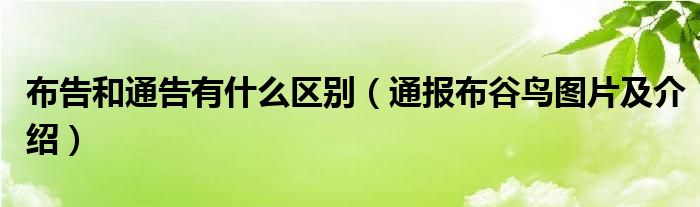 布告和通告有什么区别（通报布谷鸟图片及介绍）