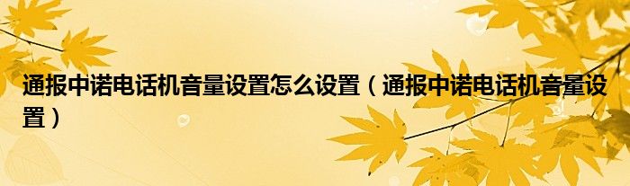 通报中诺电话机音量设置怎么设置（通报中诺电话机音量设置）