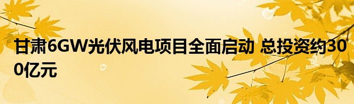 甘肃6GW光伏风电项目全面启动 总投资约300亿元